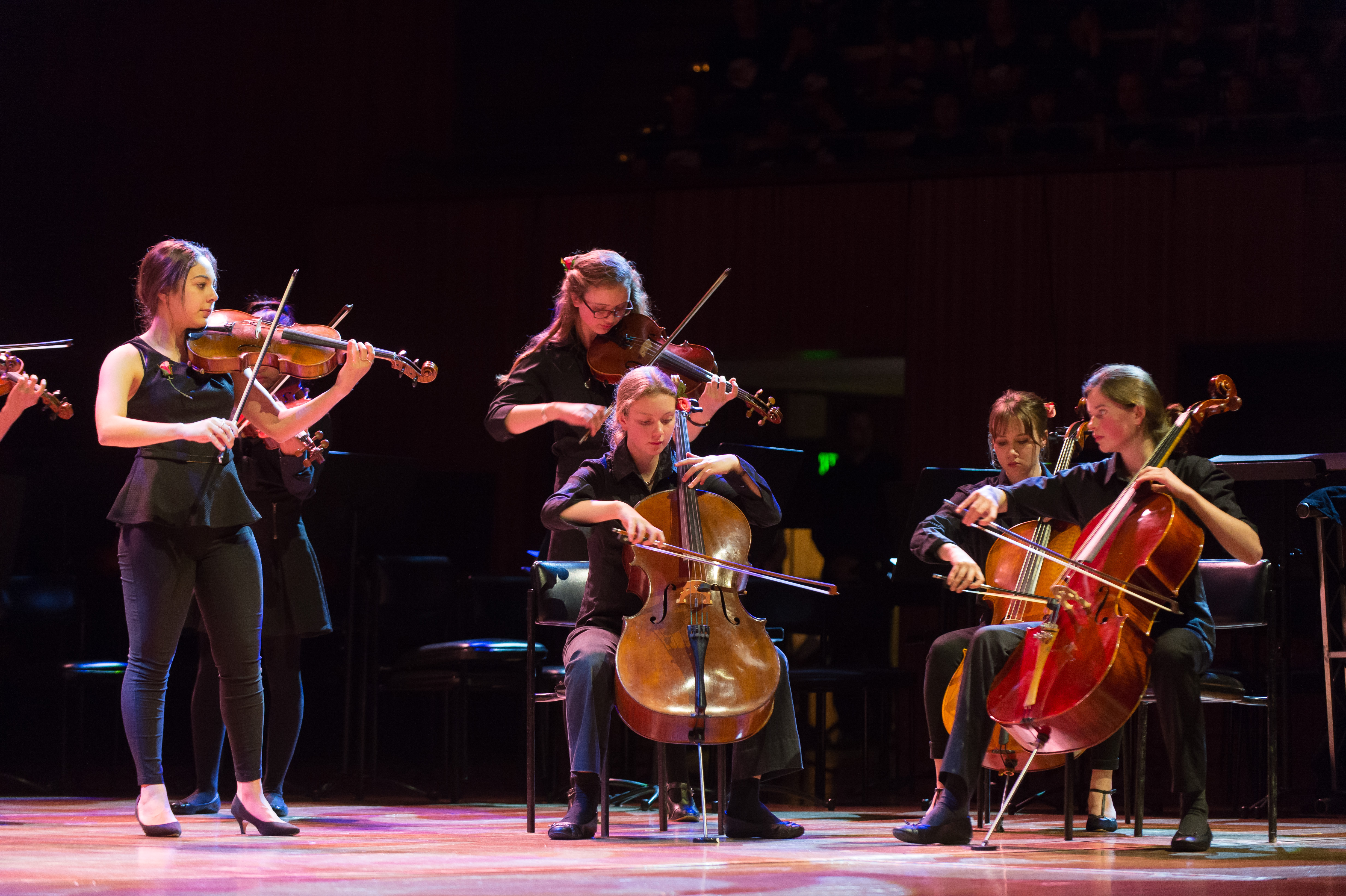 Newtown High School of Performing Arts String Ensemble 2015, photography by Andrew Lasky