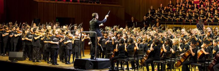 conductor and orchestra